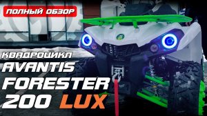 ЗАЧЕТНЫЙ КВАДР на 200 КУБОВ! | Обзор квадроцикла Avantis FORESTER 200 LUX
