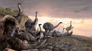 Легенда о Моа