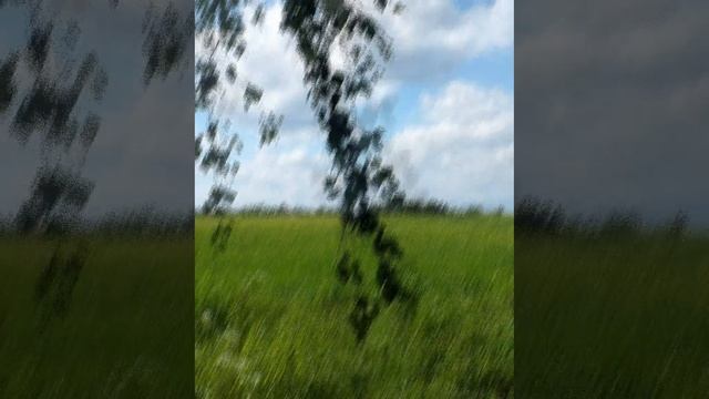 Алексей Марков - Стихотворение «Правда» читает Андрей Субботин #поэзия #АндрейСубботин #правда