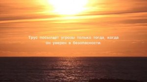 Лучшие Цитаты Иоганна Гёте на Все Времена | Гёте, автор знаменитого «Фауста», Лучшие высказывания