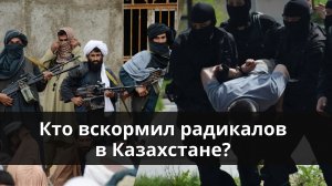 Кто вскормил радикалов в Казахстане*