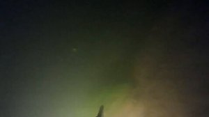 Поймали сома размером с человека на подводной охоте в Башкортостане