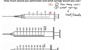 U-100 Insulin Dosage Calculation (Two Examples)