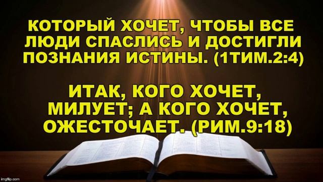 Что означает "все люди" в 1Тим. 2:4 смотреть онлайн