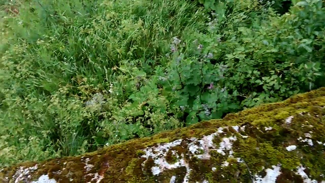 заброшки дот поход смотреть онлайн