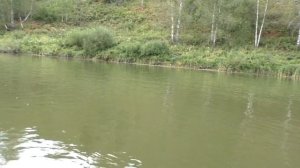 В тайгу на 2 дня. Рыбалка,ночёвка,тайга.