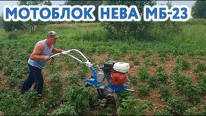 Окучивание картошки "Железным конём".