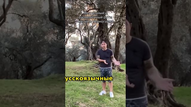 Сколько стоит новая жизнь? Переезд в Черногорию #Черногория #переезд #2024 #релокация #личныйопыт