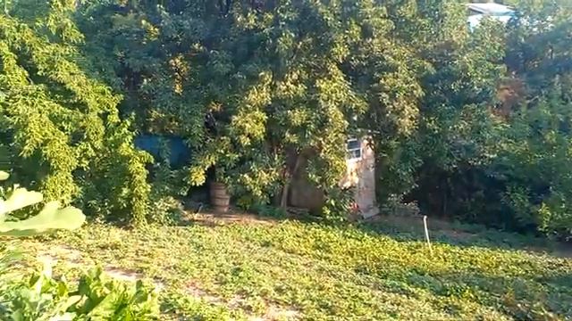 Продажа участка с видом на море в Крыму Алушта Запрудное +7 978 738-60-39