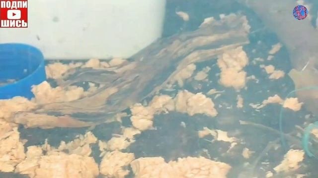 делаем искусственное солнце ??