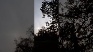 37 Пушкин В тот год осенняя погода