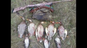 Озеро всё радует и радует! Охота на вечёрке и утрянке