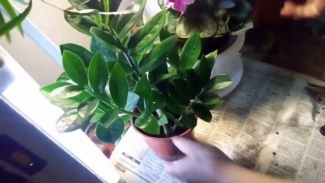 Подарки на 8 марта! смотреть онлайн