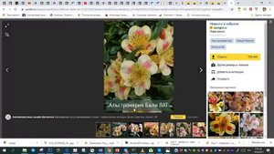 Как найти название растения по фото