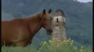 Ингушетия. "Мелодии Гор"-Моя любимая Ингушетия 2002-2008гг.(Мурат Зязиков).