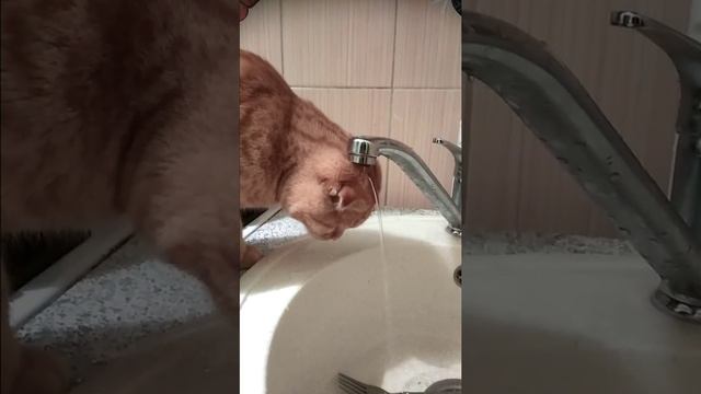 Бастинда решила вымыть себе голову смотреть онлайн