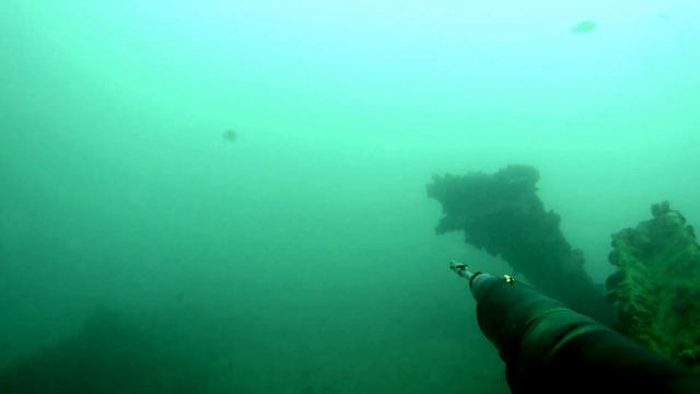 Подводная охота на Черном море. Абхазия -Эмба 02.11.22