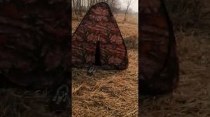 Отдых, рыбалка в Тюмени.