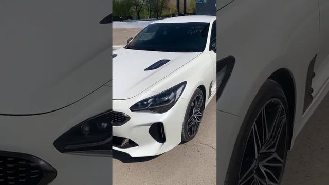 KIA STINGER