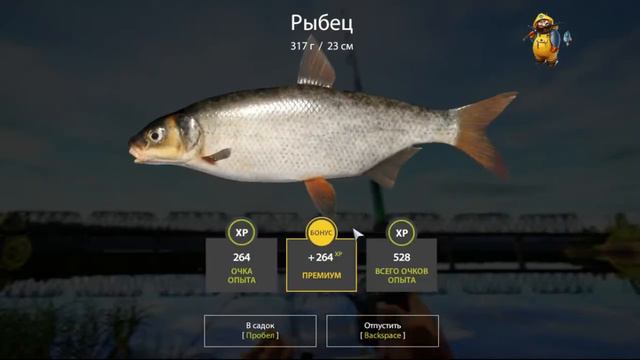 Русская рыбалка 4: р. Волхов: Рыбец и подуст. смотреть онлайн