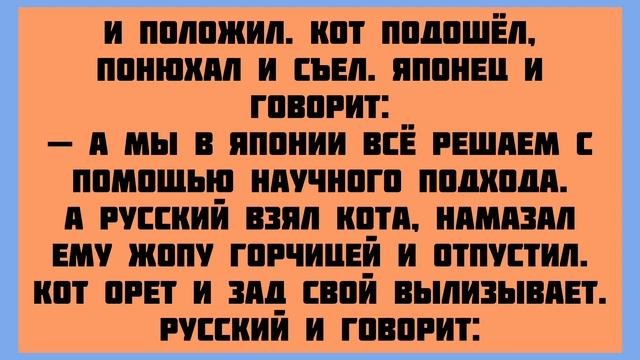 СБОРНИК НОВЫХ АНЕКДОТОВ