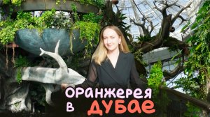 Обзор ОРАНЖЕРЕИ  |  Куда сходить в ДУБАЕ