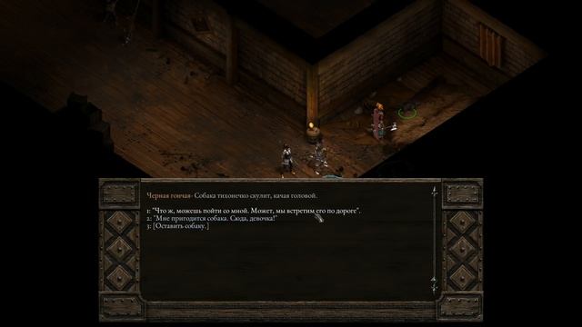Прохождение Pillars of Eternity релиз Акт 1 собираем группу боец Эдер и маг Алот # 2