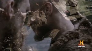 Drums of Drakkar - Viking - Ragnar - Danheim - Berserkir - medieval music -