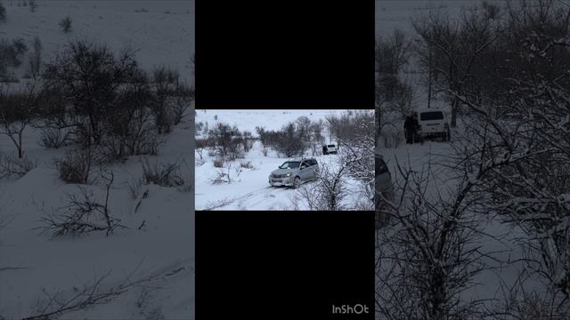зимняя прогулка