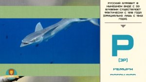 Мир малышам | Развивающие видео для детей | Русский алфавит: Буква Р