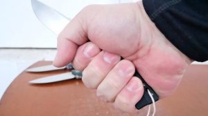 Petrified fish PFP02, D2 Satin finish, G10