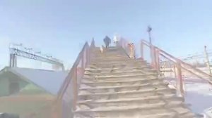 Восточно-сибирская лайка дрессировка и воспитание