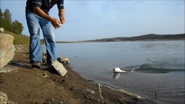 Рыбалка-Trailer. смотреть онлайн