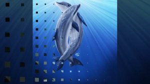 Все постоянно говорят .mp4