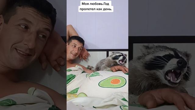 #любовь #мой #мужчина #вместемыможем смотреть онлайн