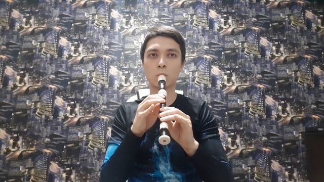 Маленькая страна - блокфлейта (recorder cover)