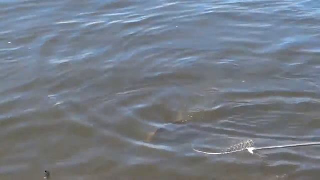 зимняя рыбалка смотреть онлайн