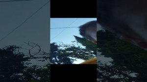 1000105156.mp4