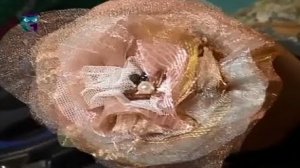 Шьем цветы из ткани. Мастер класс