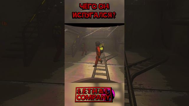 Испугался Lethal Company