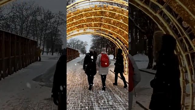 Новогодний Зеленоградск 2022   #зеленоградск #калининград #новогоднеевидео