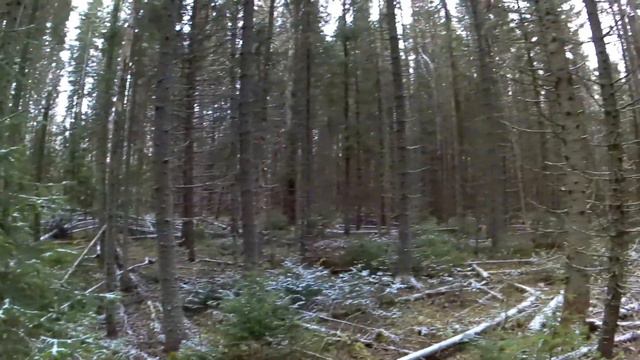 И смех и грех! Охота с русской гончей смотреть онлайн