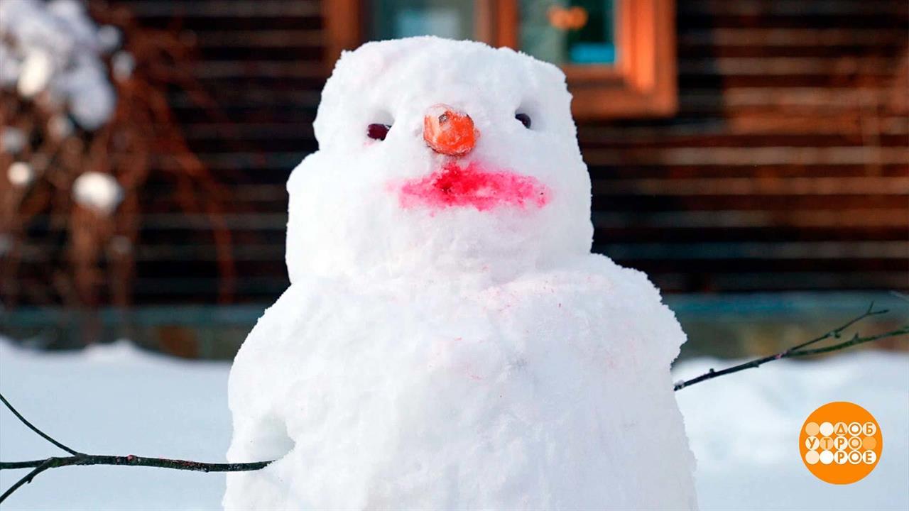Лепить снеговика - это здорово! Доброе утро. Фрагмент выпуска от 16.02.2024