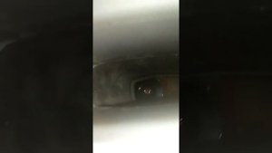 Басс тест саба xoro- Hss 512 180 ватт