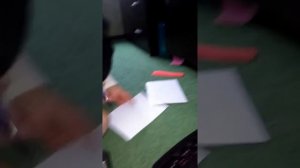 Как вызвать духа черного кота