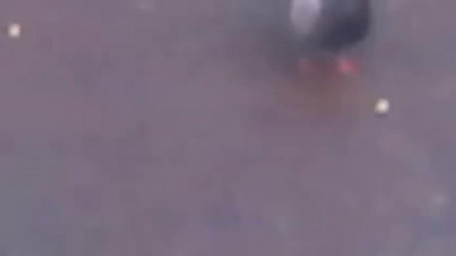 СИЗЫЕ ГОЛУБИ. Любите голубей. смотреть онлайн