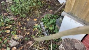 Форель горячего копчения от А до Я.