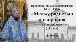 Между радостью и скорбью. Епископ Веневский Феодорит