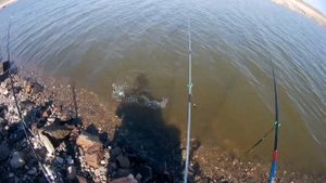 Рыбалка /Сломал маховую удочку/ Fishing day