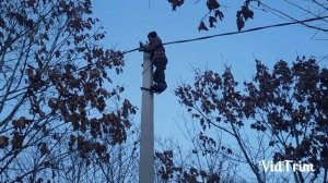 Когти монтёрские